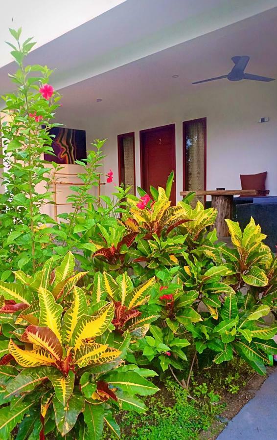 Amigos Bungalows Гили-Мено Экстерьер фото